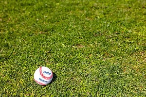 Spring Sports Signs - Baseball