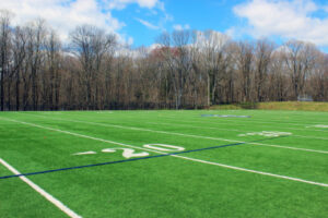 Spring Sports Signs - Flag Football