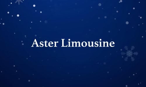 Aster Limousine